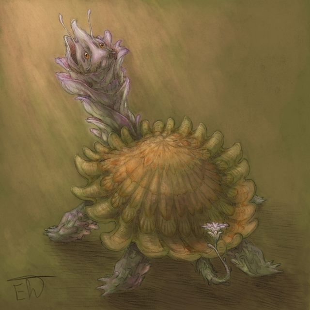 Flower Turtle