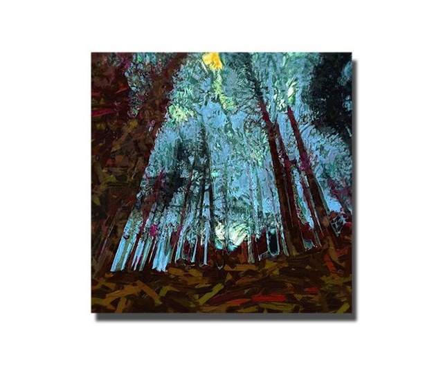 02 Nature - Shaking Off The Old, 2020.