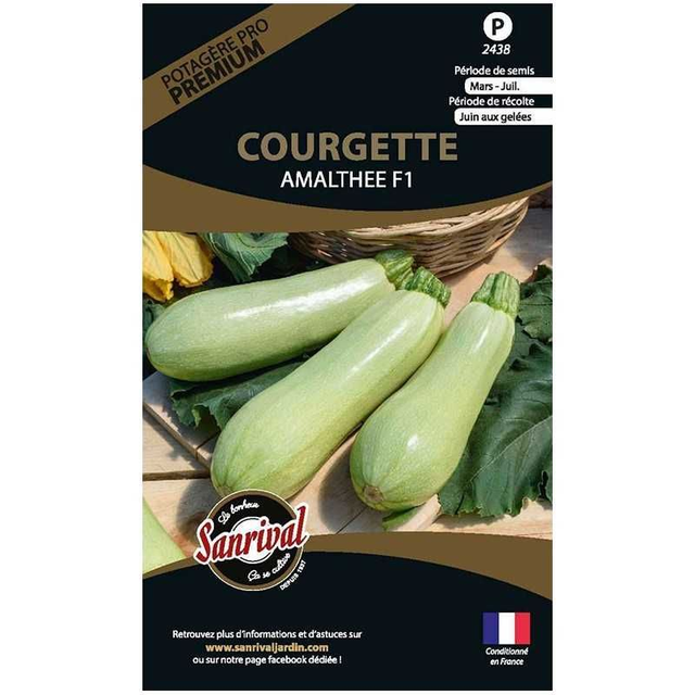 COURGETTE AMALTHEE
