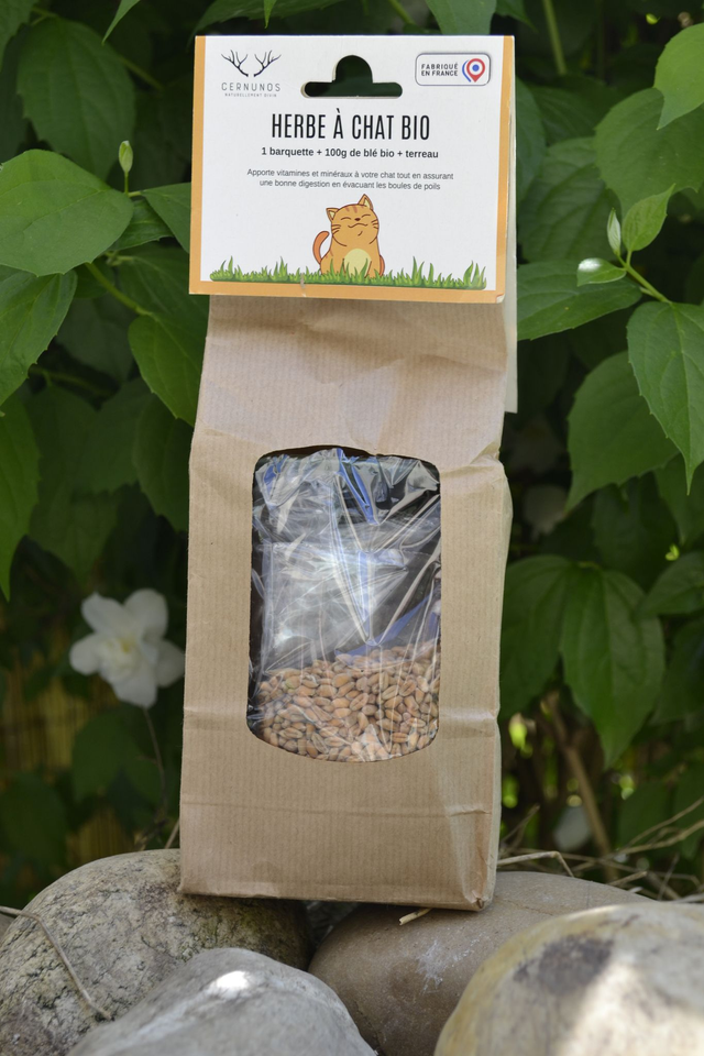 Kit Herbe à Chat BIO
