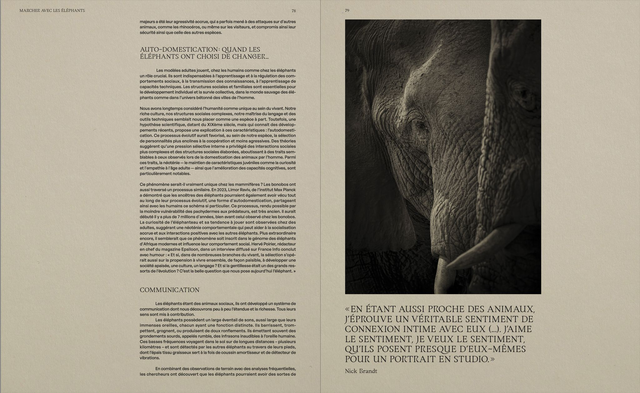 Dans l'ombre des éléphants