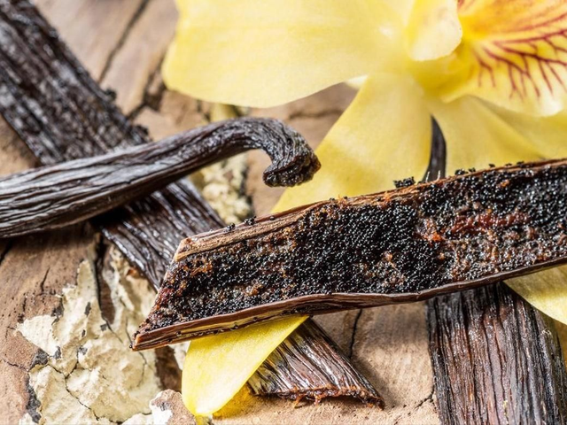 Gousse vanille