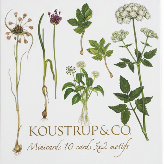 Mini tarjetas cuadradas navideñas WILD PLANTS