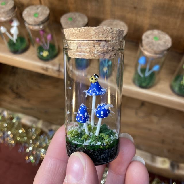 Bleu givré coccinelle