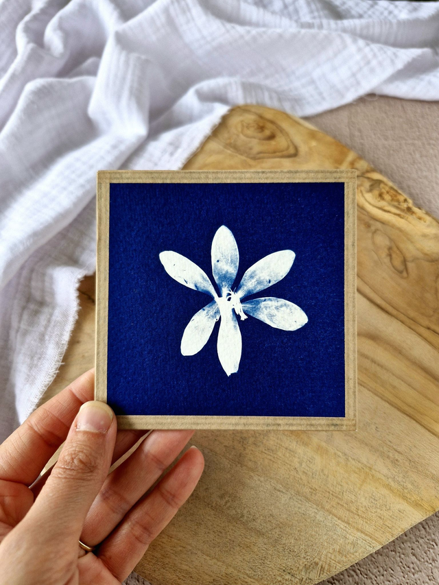 💙 Mini CyanÔ - Les mignonneries - Crocus
