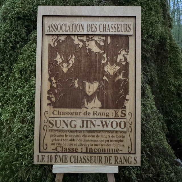 Solo leveling - Sung Jin-Woo 