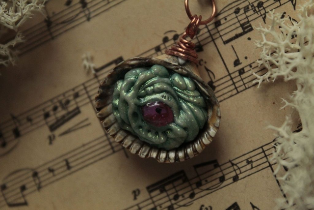 Coquillage Métamorphe- n°5