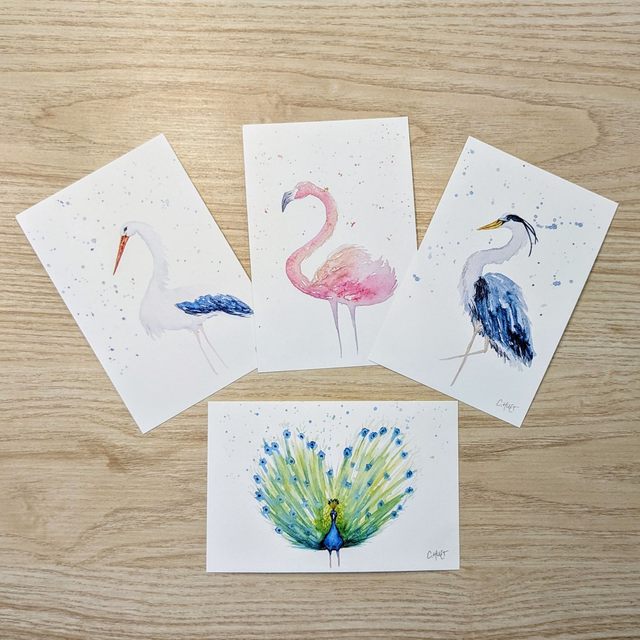 Carte postale aquarelle oiseaux colorés modernes : flamant, paon, cigogne, héron