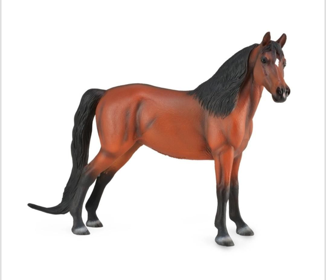 Figurine cheval Morgan 1:12 Collecta 88813 bai

88813

