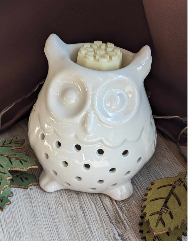 Bruleur &quot;Hibou&quot; (+2 fondants offerts)