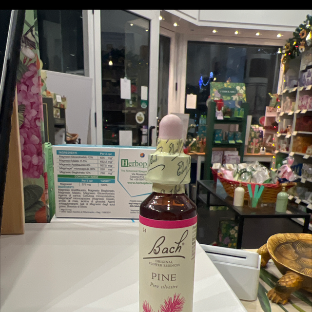 Fiori di bach 24 Pine