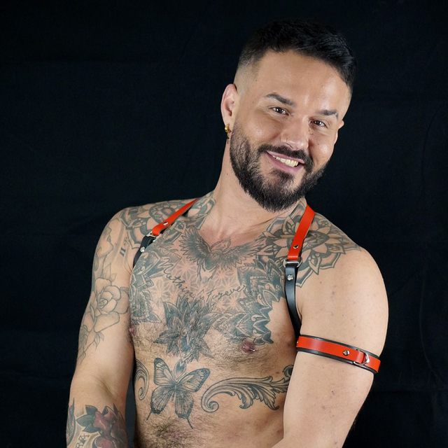 Red &amp; Black Leather Shoulder Harness