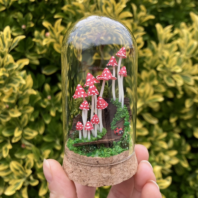 Champignons phosphorescent rouge sur écorce