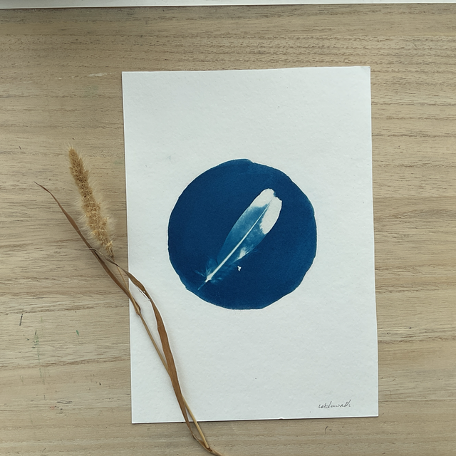 Feather Cyanotype small