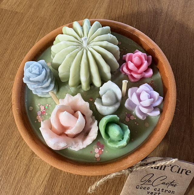 Cactus coco citron vert - 255gr