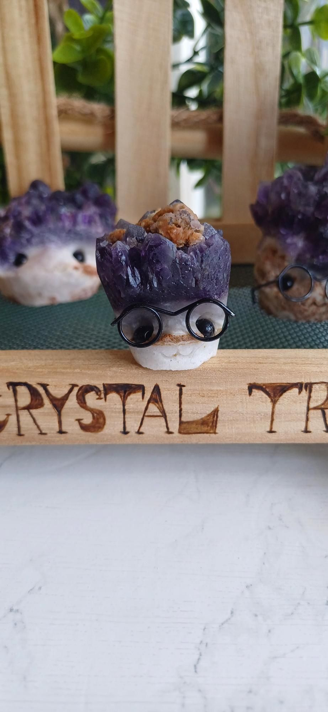 Smartsyshard - Crystal Critter Scholars 