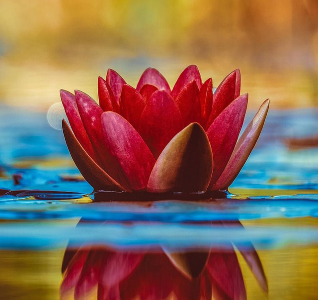 Créativ’Day : Journée bien-être à Reims : Massage relaxant + Atelier argile 