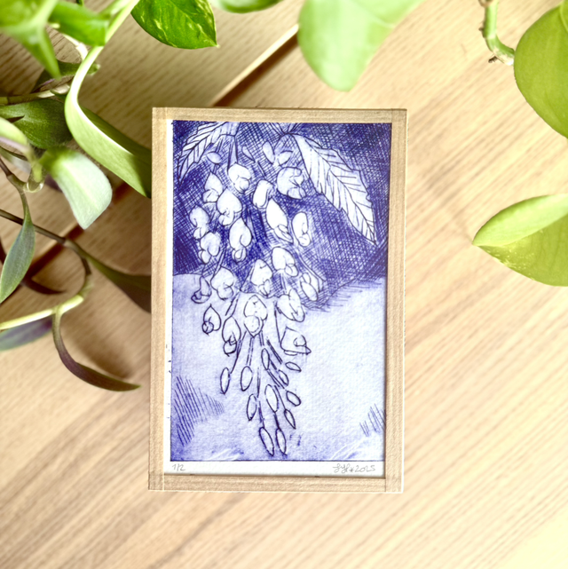 Glycines bleu concentré - petit cadre 10x15