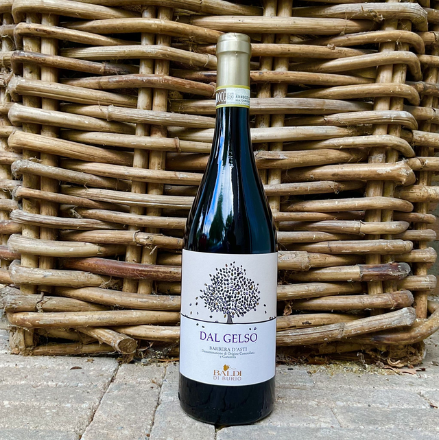 Barbera d'Asti 2024    "Dal Gelso"