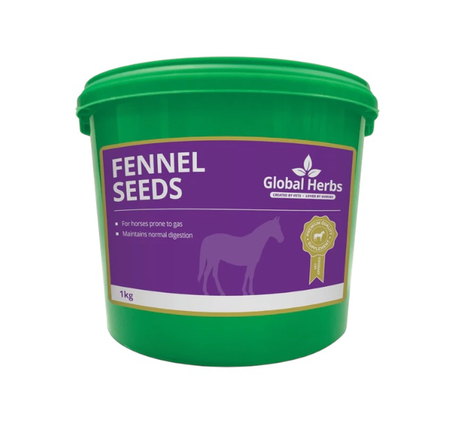 Global Herbs Fennel Seeds 1kg