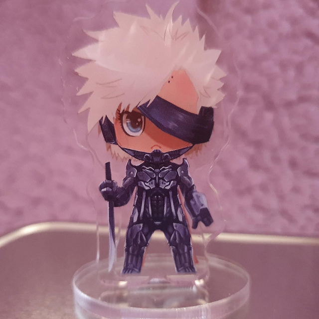 Raiden Dress Up Standee Set