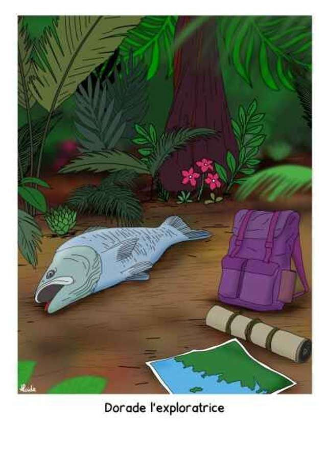 Dorade l'exploratrice