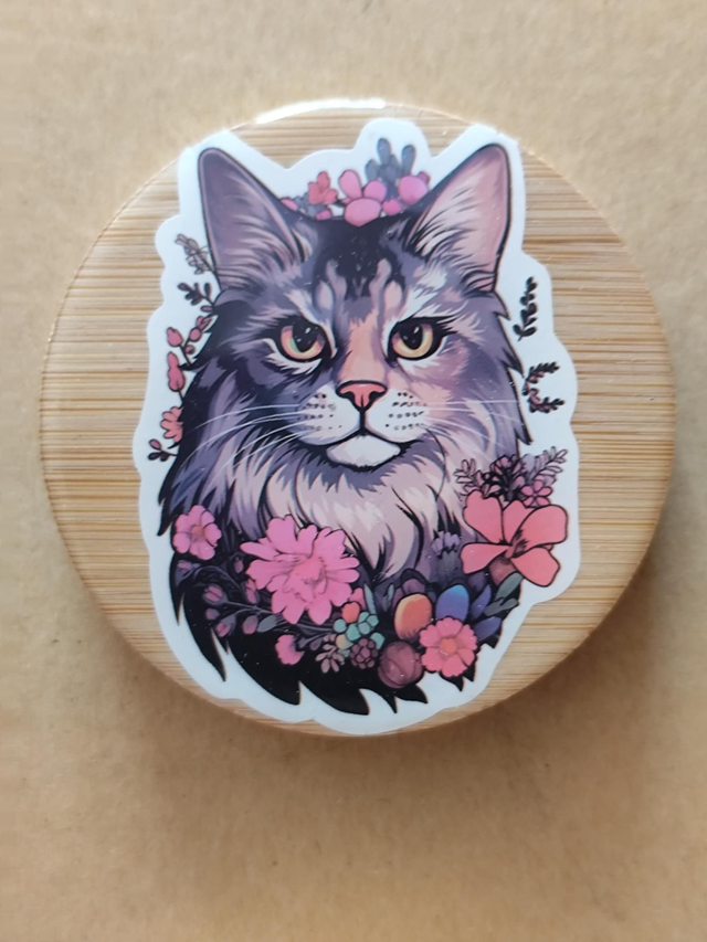 Décapsuleur chat magnétique frigo