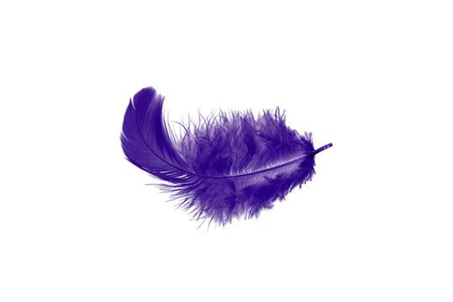 Boucles d'oreilles Plumes