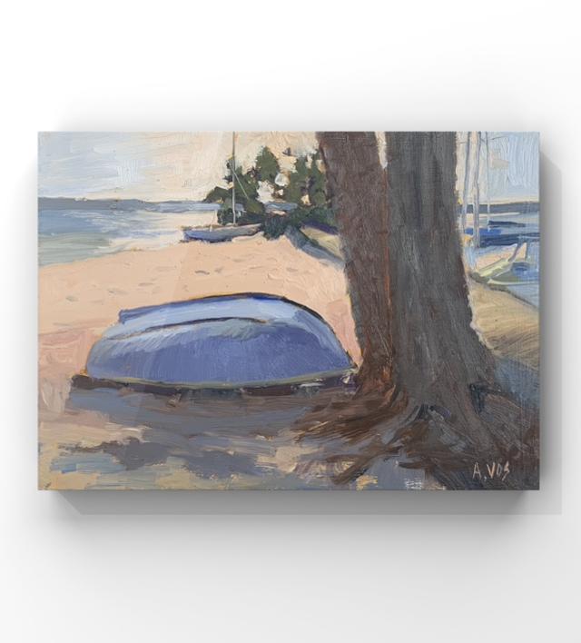 Lumière du matin à Maguide - lac de Biscarrosse