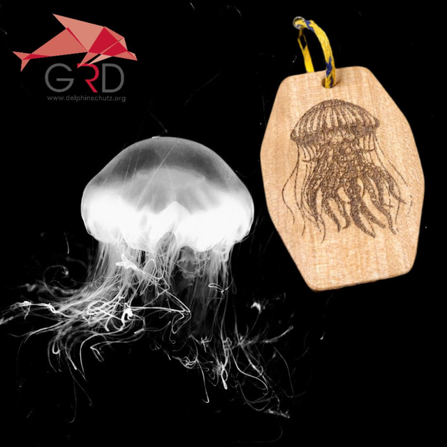 Schlüsselanhänger-Qualle