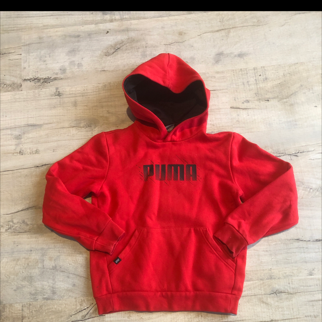 Sweat à capuche Puma